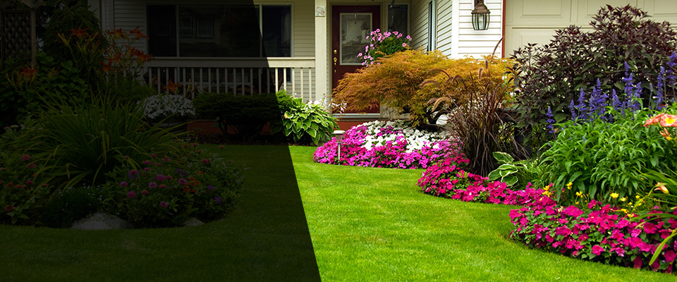 Berkeley Landscapers